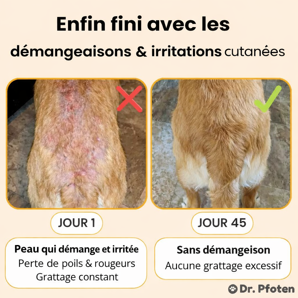 Traitements contre les démangeaisons et les allergies