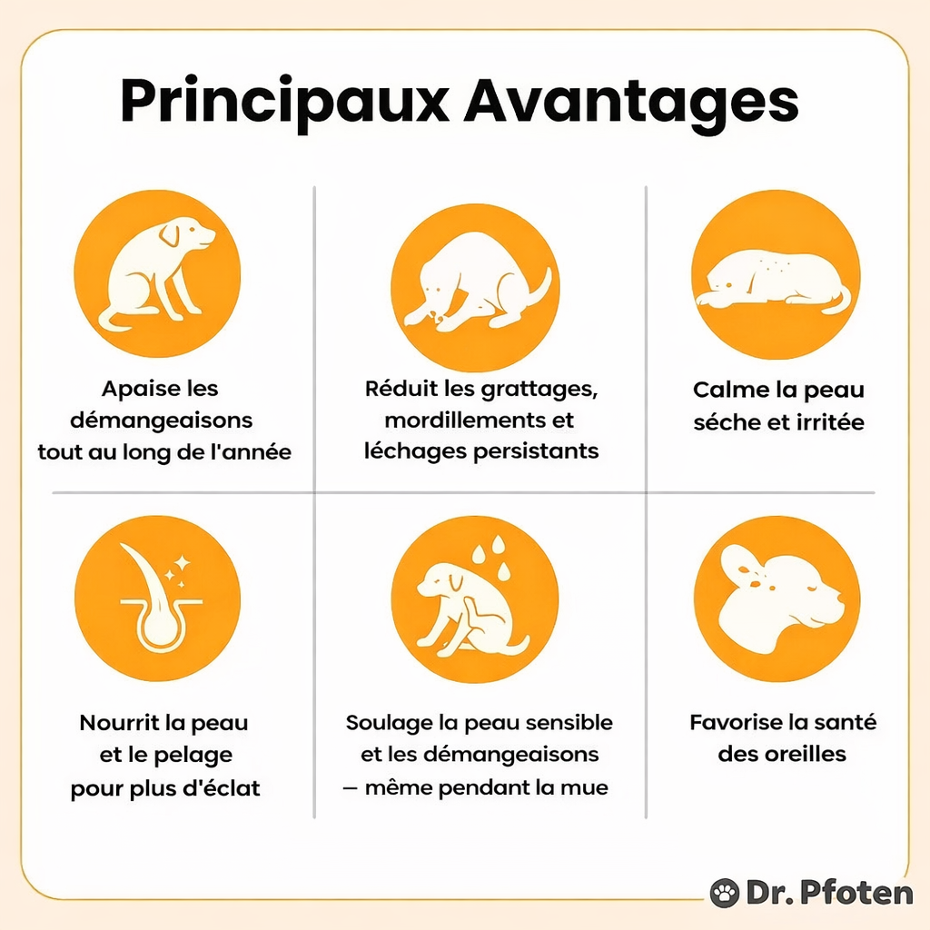 Traitements contre les démangeaisons et les allergies