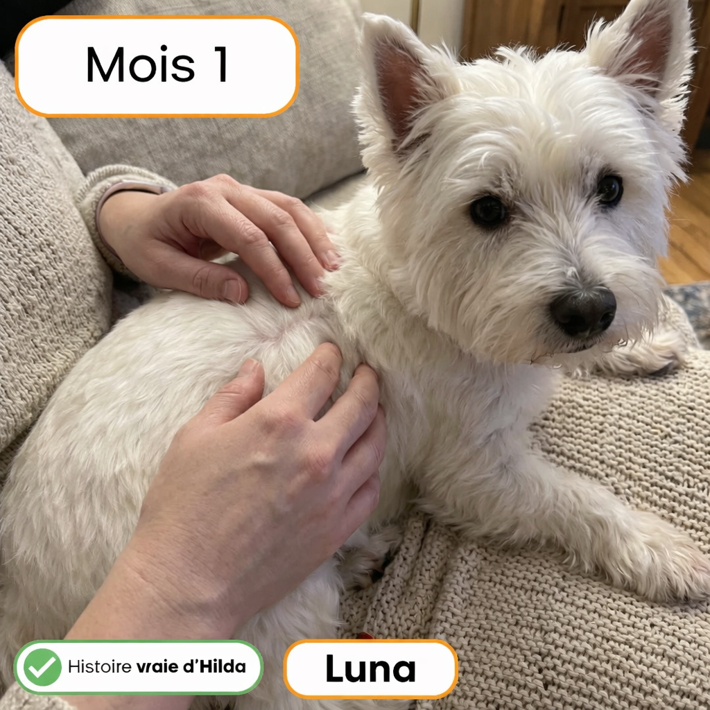 Traitements contre les démangeaisons et les allergies