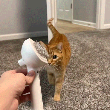 PAWSR™ - Brosse de Toilettage 3-en-1