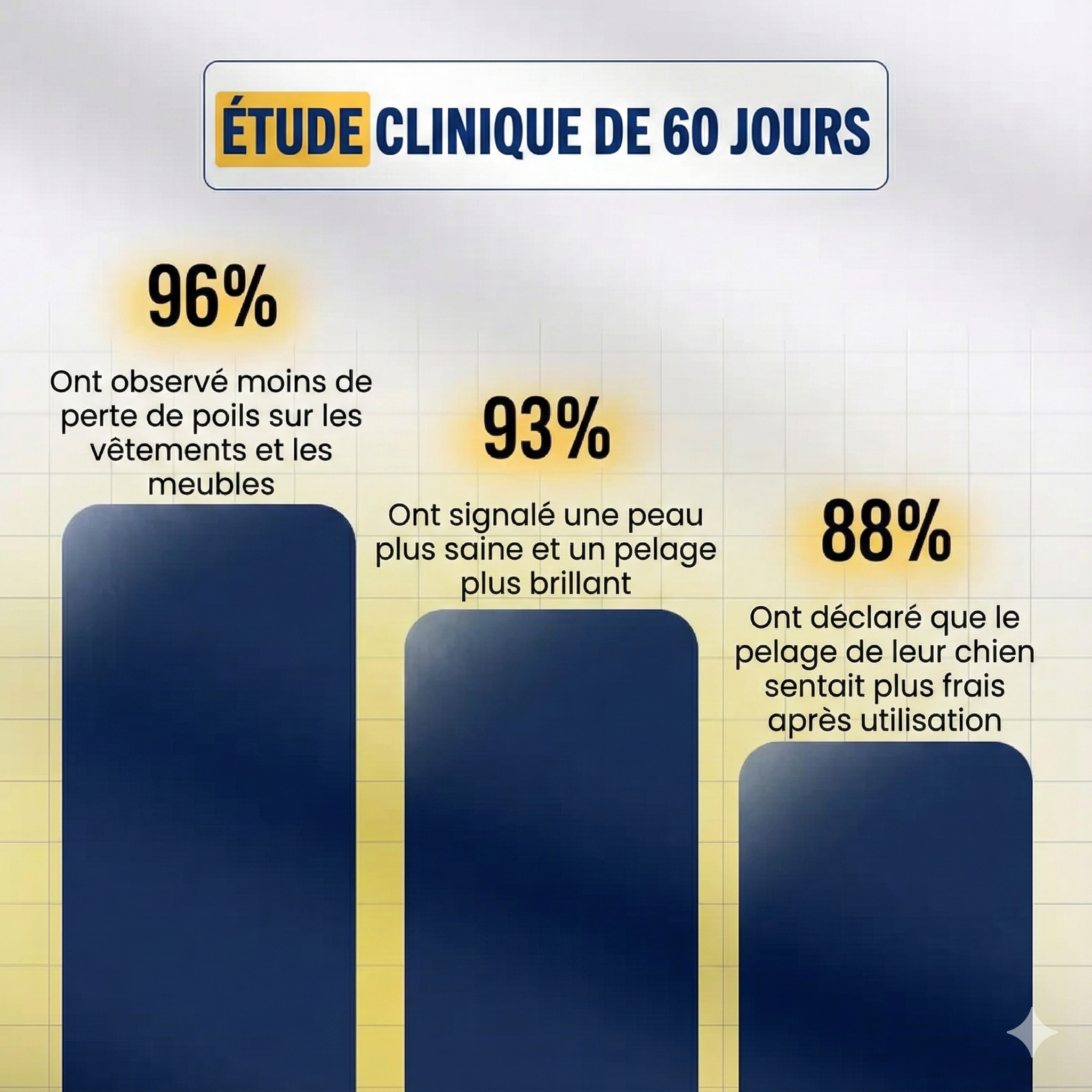 PAWSR™ Brosse de Toilettage 3-en-1