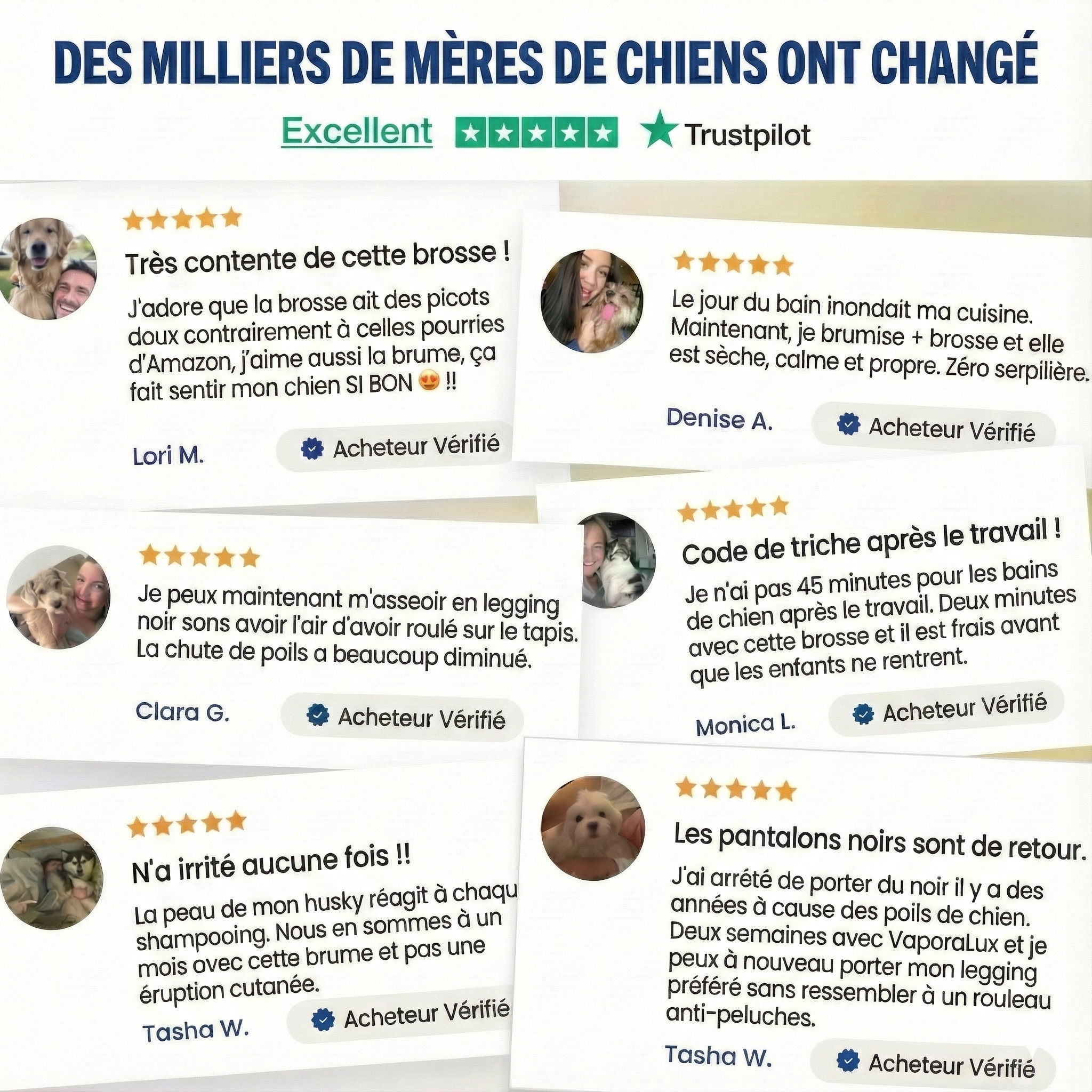 PAWSR™ Brosse de Toilettage 3-en-1