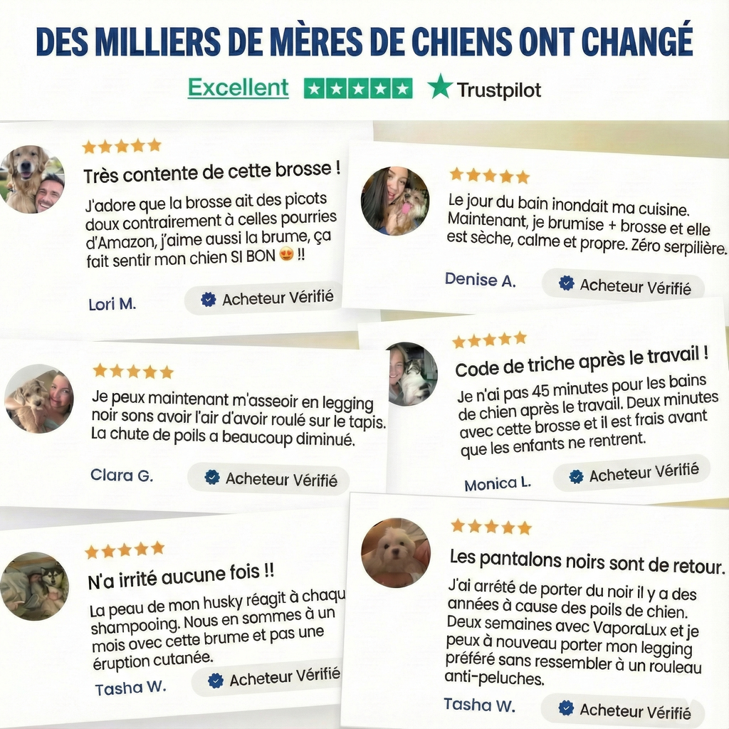 PAWSR™ - Brosse de Toilettage 3-en-1