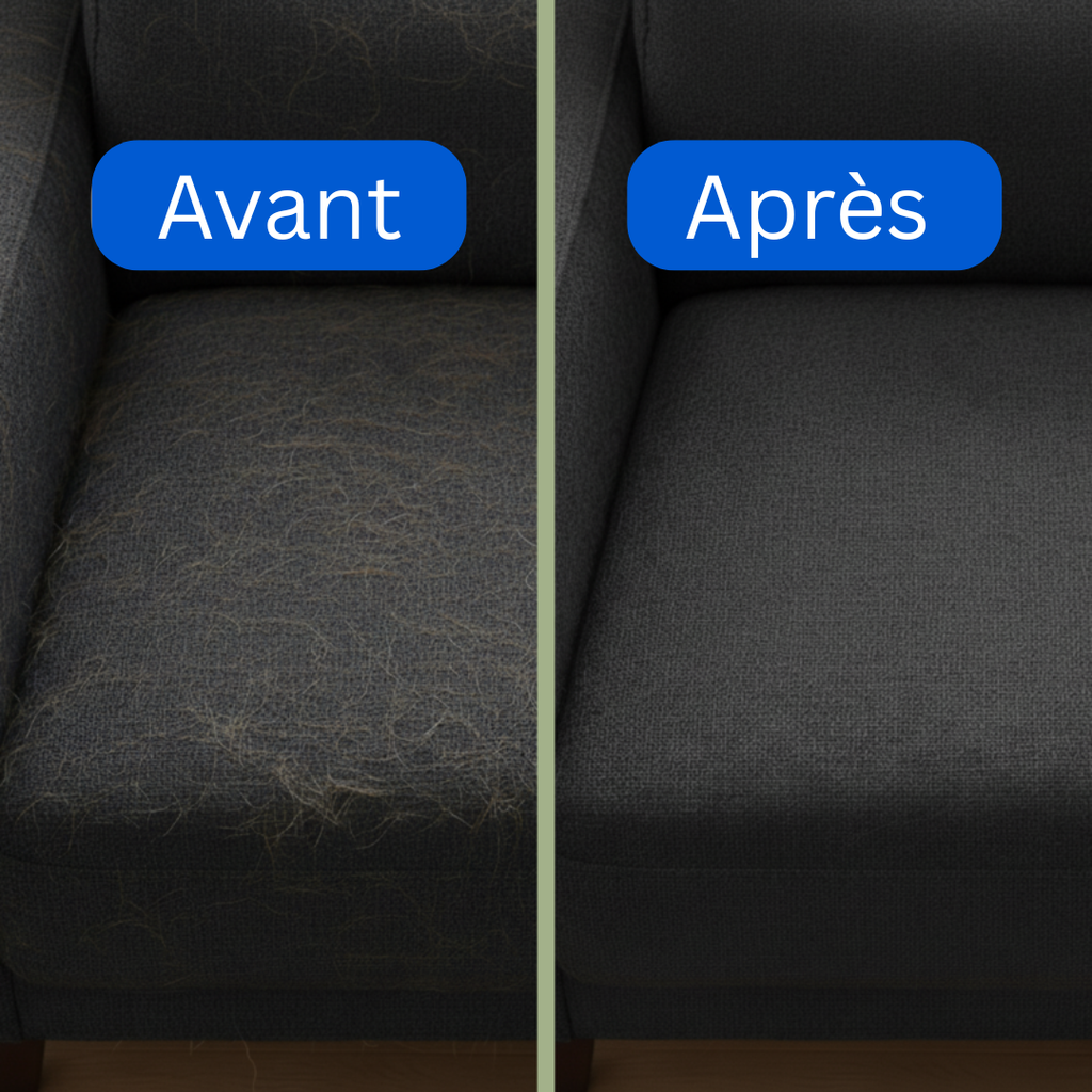 PAWSR™ - gant magique anti-poils