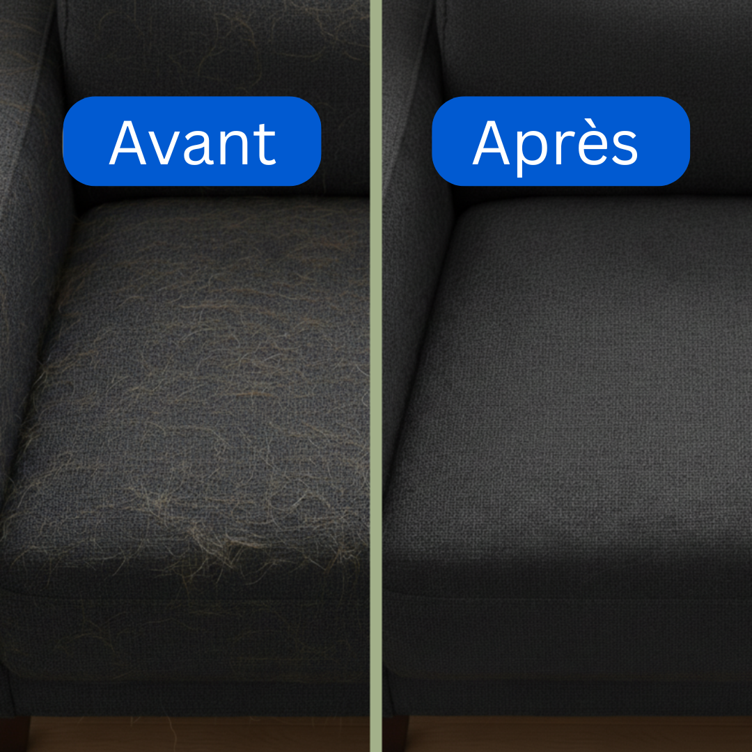 PAWSR™ - gant magique anti-poils