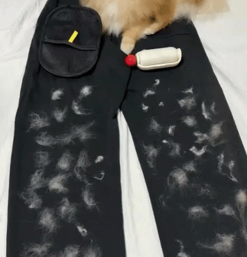 PAWSR™ - gant magique anti-poils